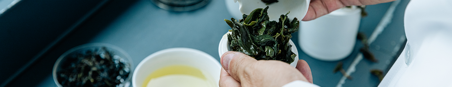 2021臺灣有機茶大賞:用感官,爬一座茶山