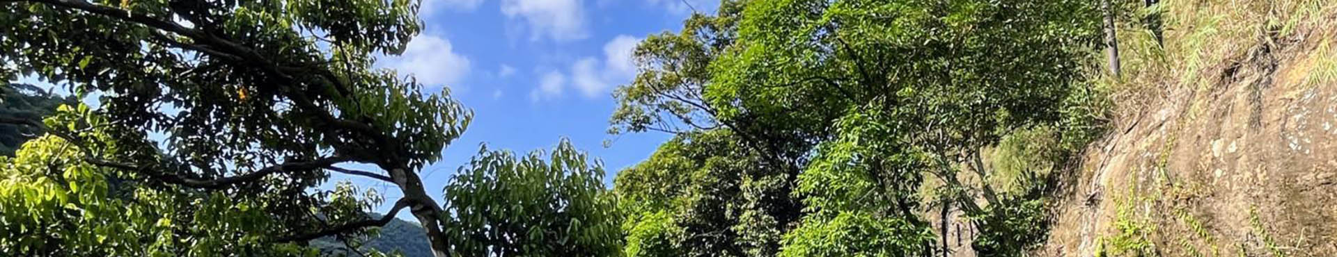 向山思考