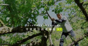 【農漁會Ｘ好勁道｜台灣風土美味共創計畫 03】守望阿公的老梅園 釀入內心的酸甜滋味